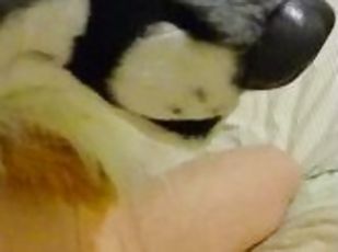 Fursuit Footjob