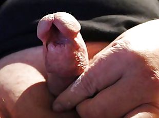 Penis Spaltung Penis Spaltung