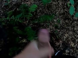 Teen Boy Jerking off and cum in The Forest