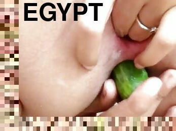 Egyptian Cucumber Anal