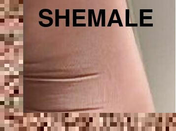Shemale wants big dicks