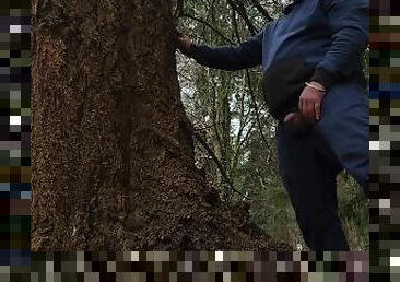 Pissing on a tree