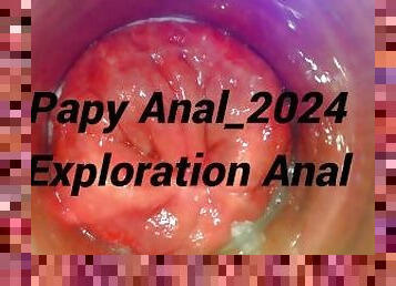 Papy Exploration Anal