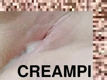 Creampie Drip
