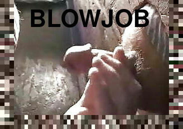 anal, blowjob-seks-dengan-mengisap-penis, homo, amerika