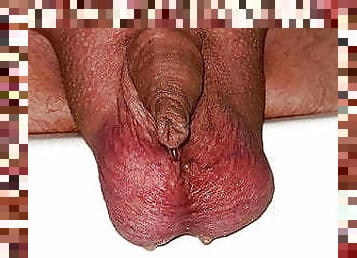 Small Forskin Cock Pisses