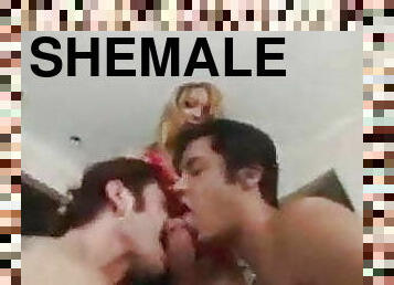 shemale fucking 2 bi guys