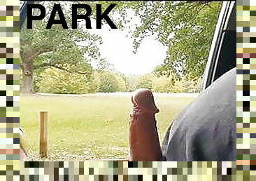 Car wank in the park 