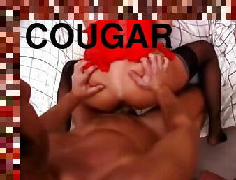 Cougar gets back doored - Major Video Concepts