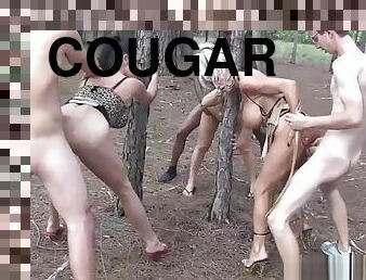 Cougars on the Prowl