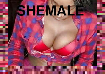 Shemale 301