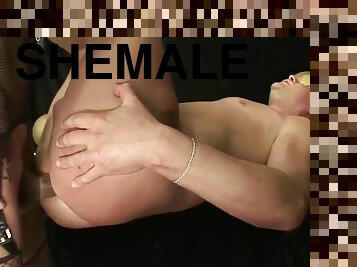 Like dominant shemale? 35