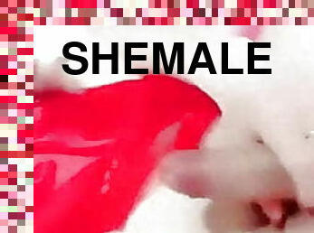 Shemale Slut Video selfie homemade