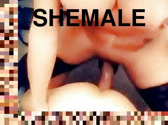 Shemale 480