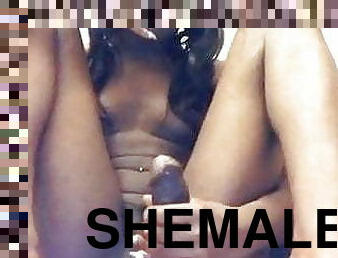 Shemale 483