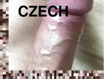 CzechBigDig