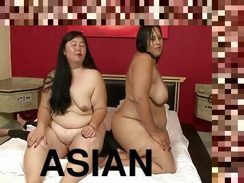 Asian & Latina Ssbbw Sweaty Asses