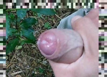 i masturbate with my huge cock in the woods with my twink