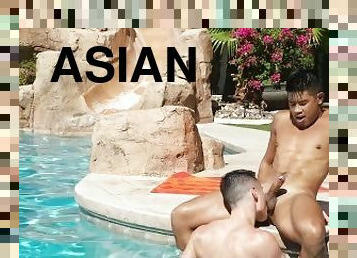 азиатки, духане, хомосексуалисти, ръчна-работа, дълбоко-гърло, билярд, топки, хуй, смучене