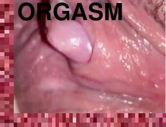 pantat, clitoris-bagian-atas-vagina-paling-sensitif, ekstrem, gemuk-fat, berambut, mastubasi, orgasme, vagina-pussy, wanita-gemuk-yang-cantik, seorang-diri