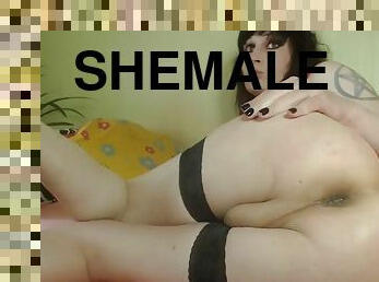Shemale Webcam 742