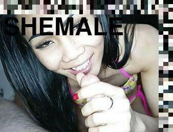 Thai Shemale Swan Suck And Rides The Raw Prick