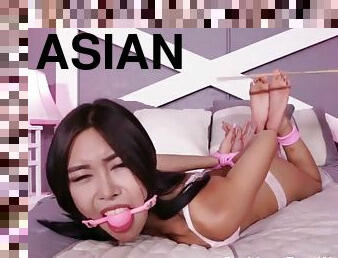 asiatiche, tettone, eruzioni-di-sperma, hardcore, pornostar, sadismo-e-masochismo, piedi, naturali, tettone-busty, bocce