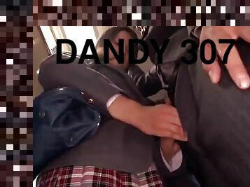 Dandy 307