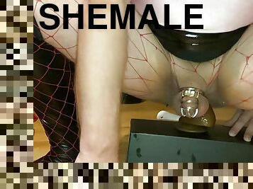 shemale, amatorskie, anal, zabawka, bdsm, niewolnicy, młode18, bielizna, jeżdżenie, dildo