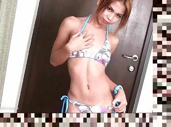 ladyboy, bikini, kleine-titten, neckend