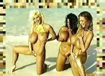 tettone, allaperto, ragazze-giovani, vintage, spiaggia, retro, bionde, brunette, erotici