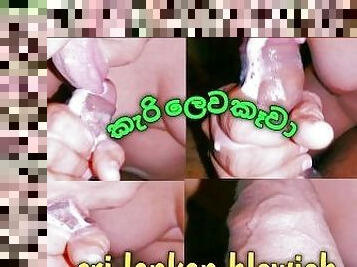 Asian blowjob ,sri lankan new chubby ,???? ?????? ??? ????? ????? ??? ??????? ????????? ,...........