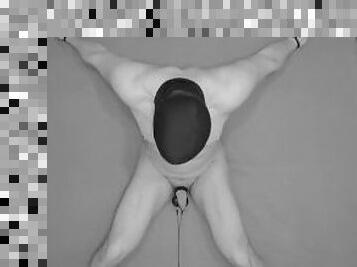 experiment: testicles electro stimulation