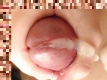 Close-up Glands Rubbing Precum Oozing Ruined Orgasm Cumming