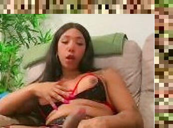 Latina shemale big dick