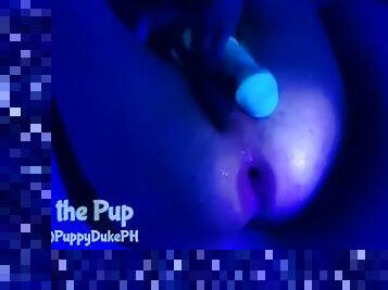 Duke the Pup's blacklight experiment!
