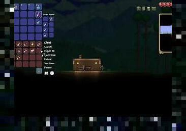 TERRARIA #2- First night and talking with undead