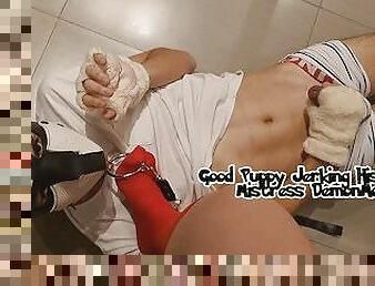 Good Puppy Jerking Off His Cock For Mistress