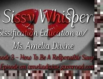How To Be A Responsible Sissy  The Sissy Whisperer Podcast